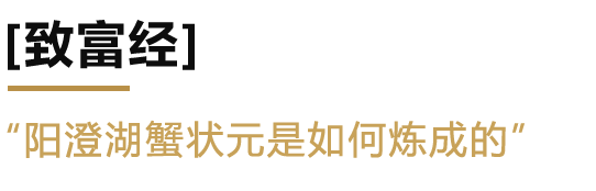 品牌愿景